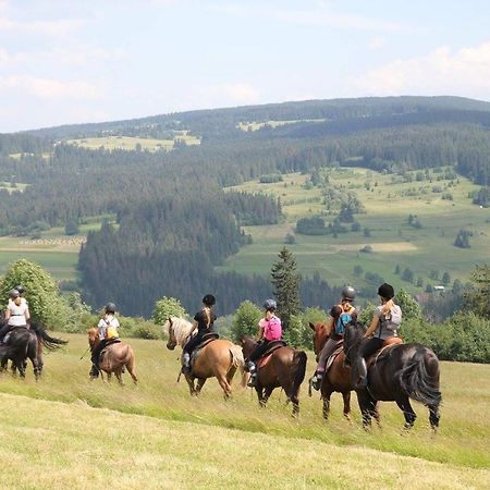 Domek Pod Zielonym Lasem Zakopane Kültér fotó