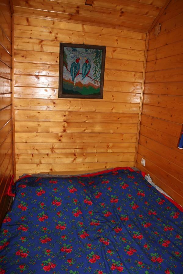 Domek Pod Zielonym Lasem Zakopane Kültér fotó