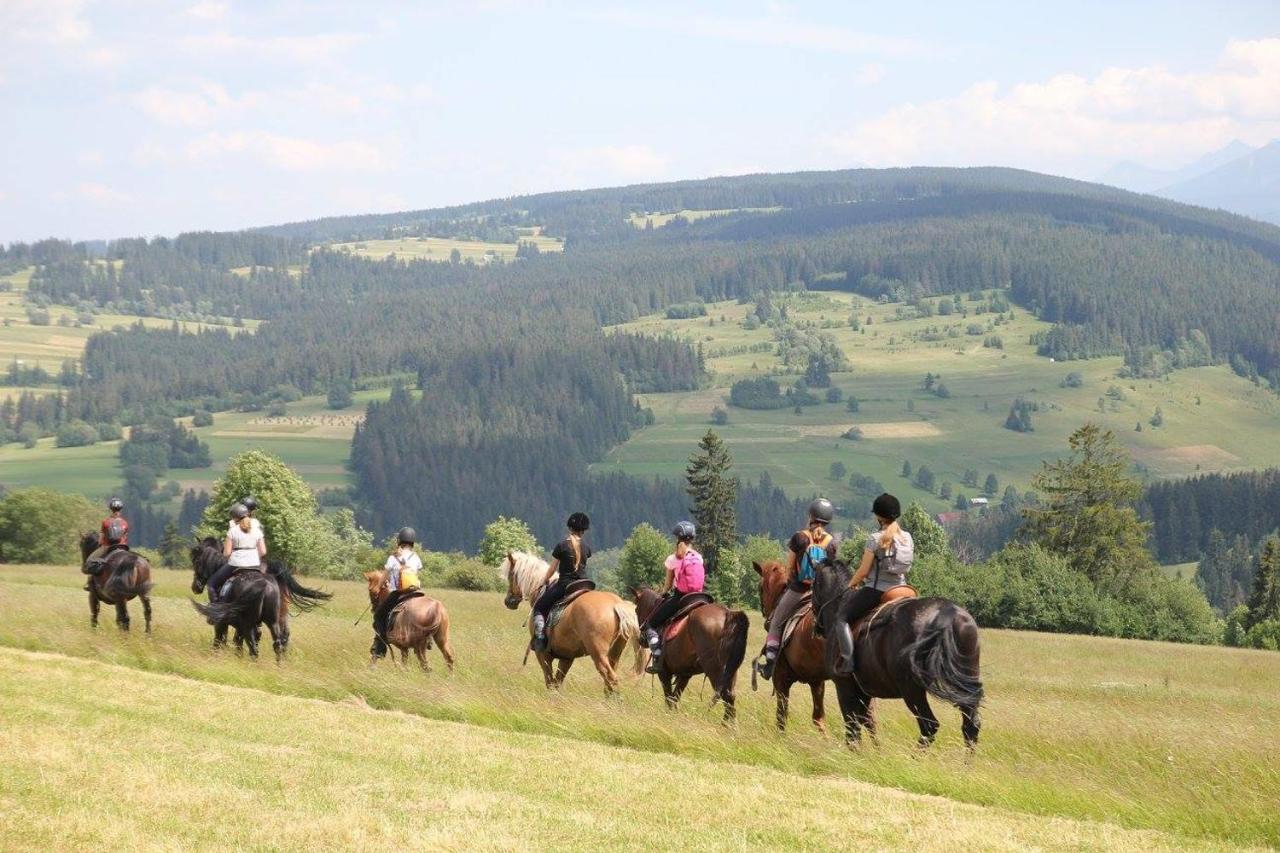 Domek Pod Zielonym Lasem Zakopane Kültér fotó